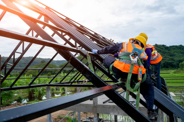 Best Storm Damage Roof Repair  in Wadsworth, IL