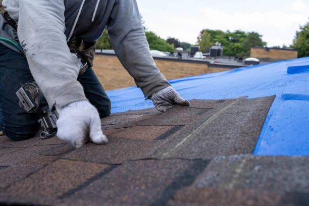 Roof Installation Near Me in Wadsworth, IL