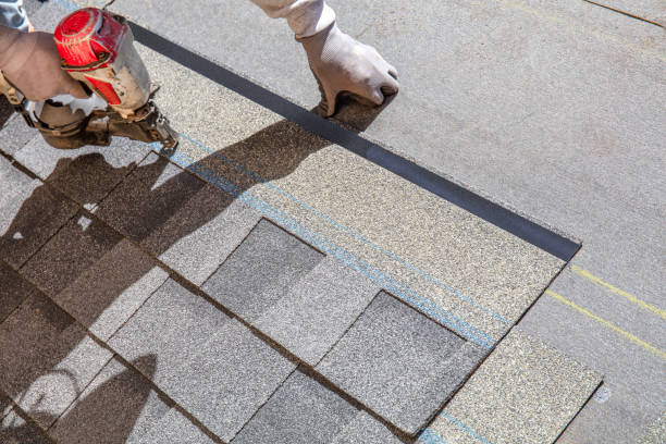 Best Roof Leak Repair  in Wadsworth, IL